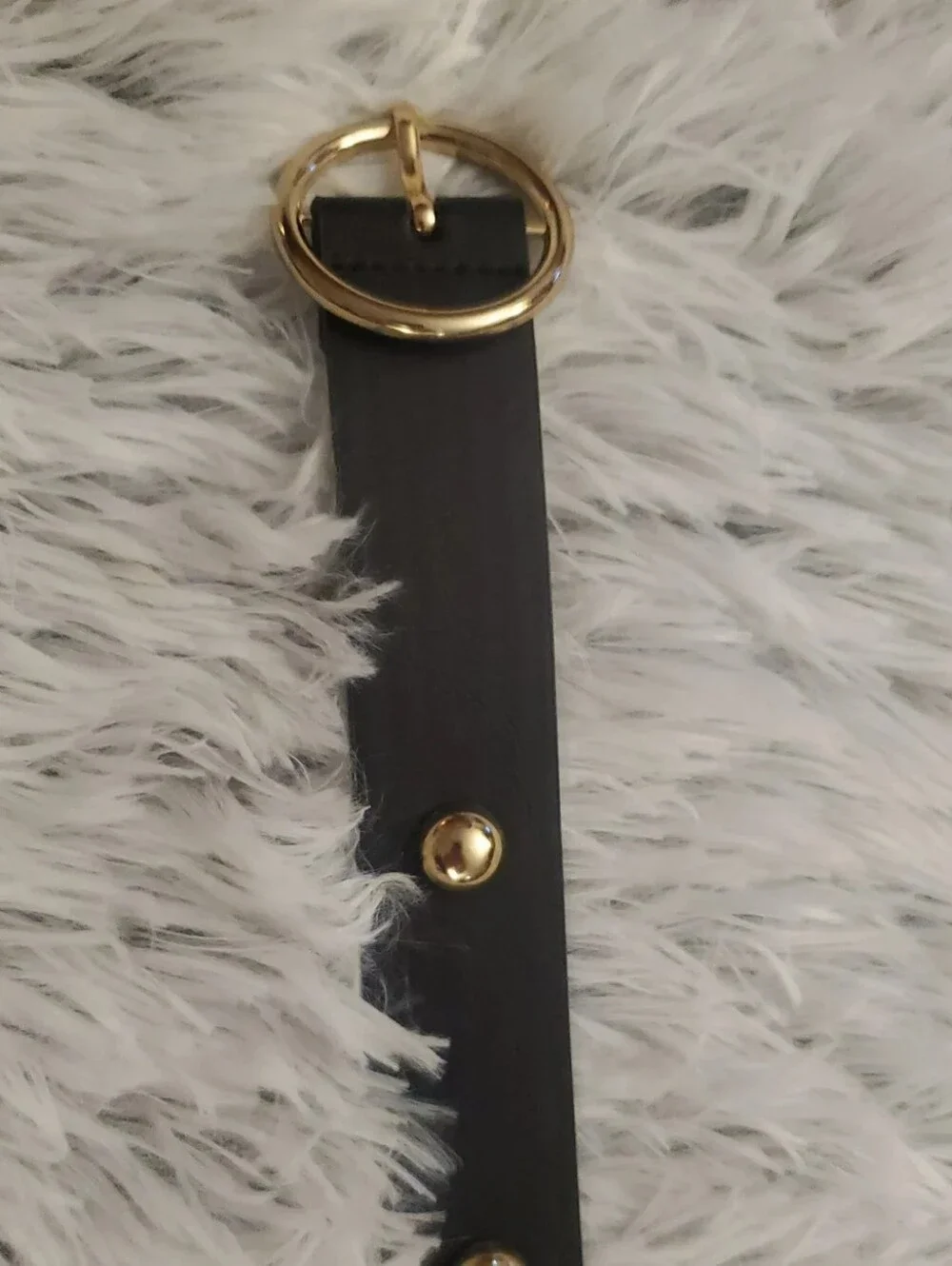 **Black Belt With Gold Studs**